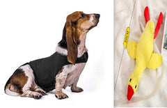 Anxiety Jacket Vest Summer Medical Treatment To Calm Down Cat Clothes Dog Comfort Clothes